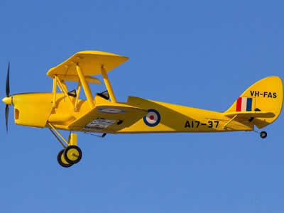 Dynam Tiger Moth 1270mm (50 inch) Wingspan - PNP