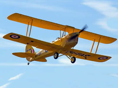 Dynam Tiger Moth 1270mm (50 inch) Wingspan - PNP