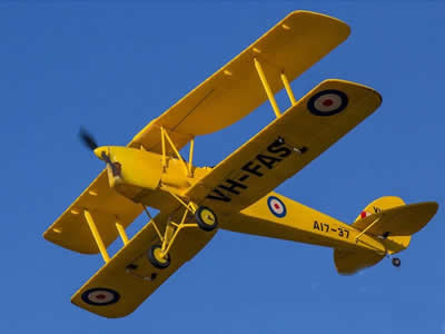 Dynam Tiger Moth 1270mm (50 inch) Wingspan - PNP